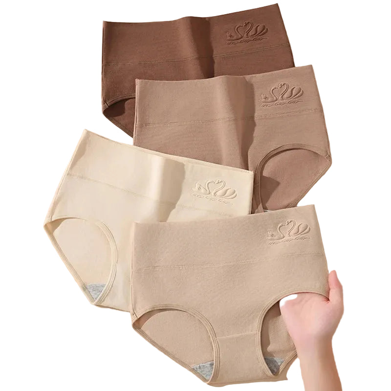 Shaping Briefs Set